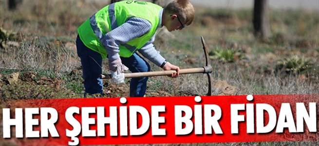 Her şehide bir fidan