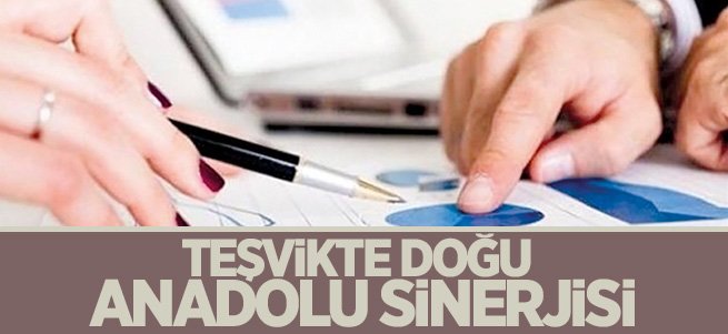 Teşvikte Doğu Anadolu sinerjisi