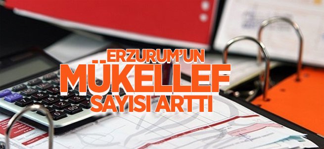 Erzurum'un Mükellef Sayısı Arttı