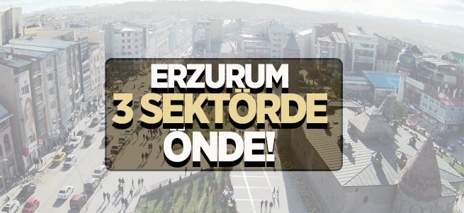 Erzurum 3 sektörde önde