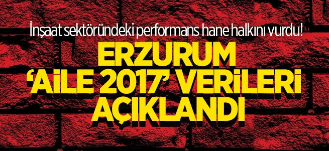 Erzurum 'Aile 2017' verileri açıklandı