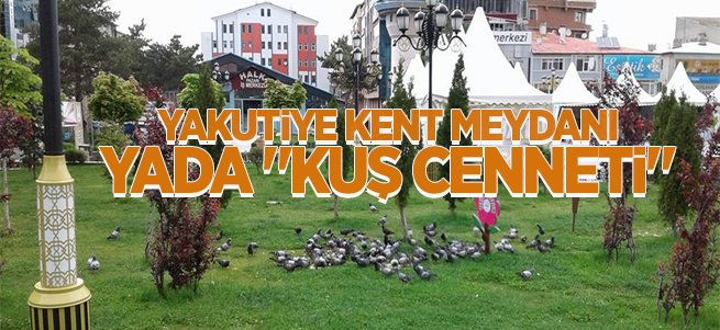 Yakutiye Kent Meydanı Yada "Kuş Cenneti" 