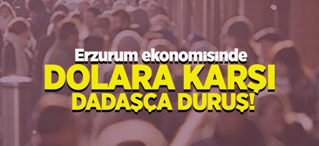 Dolara Karşı Dadaşça Duruş