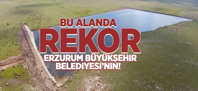 Büyükşehir gölet yapımında Türkiye rekoru kırdı 
