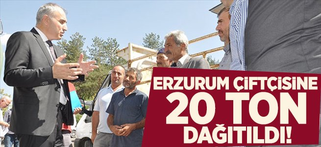 Erzurum çiftçisine 20 ton tritikale tohumu dağıtıldı