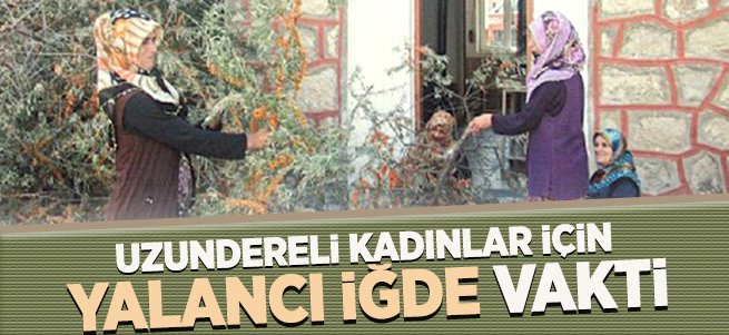 Uzundereli kadınlar için yalancı iğde vakti