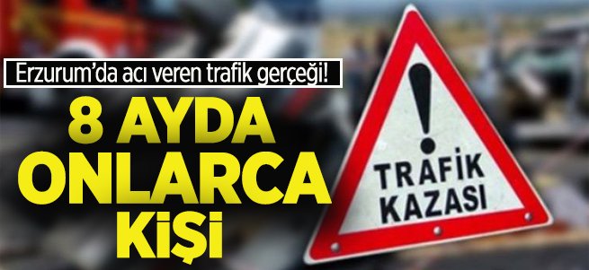 Erzurum'da 8 ayda 40 kişiyi kaybettik