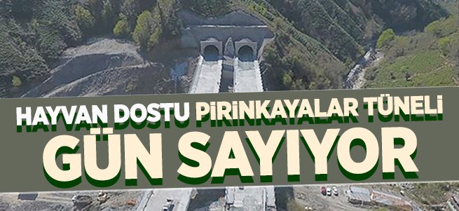 Hayvan dostu Pirinkayalar tüneli gün sayıyor