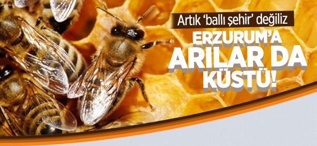 Erzurum artık ballı şehir değil!