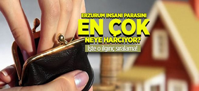 Dadaşlar parasını en çok neye harcıyor?