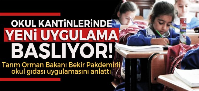 Temizlik görevlisi silah kaçakçısı çıktı