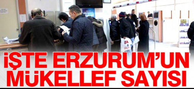 İşte Erzurum'un mükellef sayısı