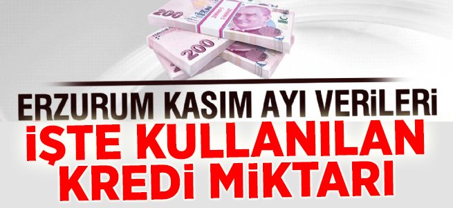 Kaymakamlık desteği ile işyeri sahibi oldu