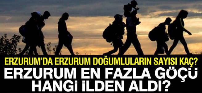 Erzurum en fazla göçü hangi ilden aldı?