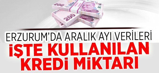 İşte Erzurum'un kullandığı kredi miktarı