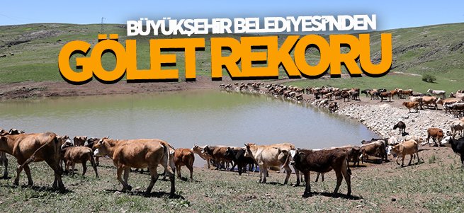  Erzurum Büyükşehir Belediyesi’nden gölet rekoru 