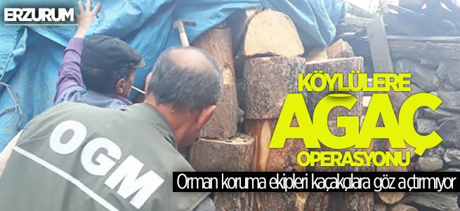 Orman koruma ekipleri kaçakçılara göz açtırmıyor