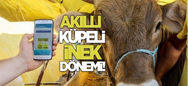 Doğum sonrası diyet yaparken dikkat!