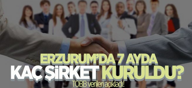 Erzurum'da 7 ayda 94 şirket kuruldu 