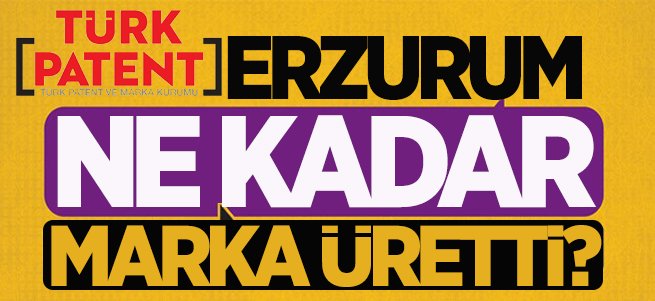 Erzurum 9 ayda 138 marka üretti