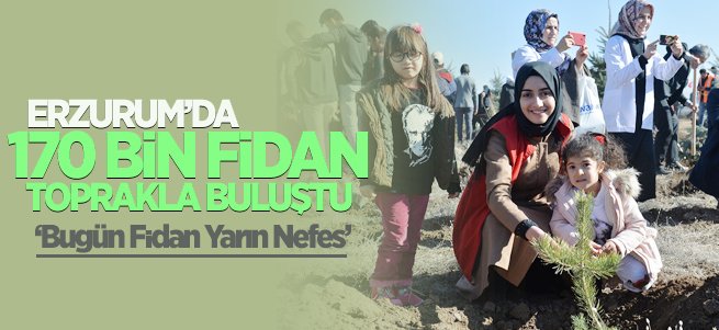 Erzurum’da 170 Bin Fidan Toprakla Buluştu