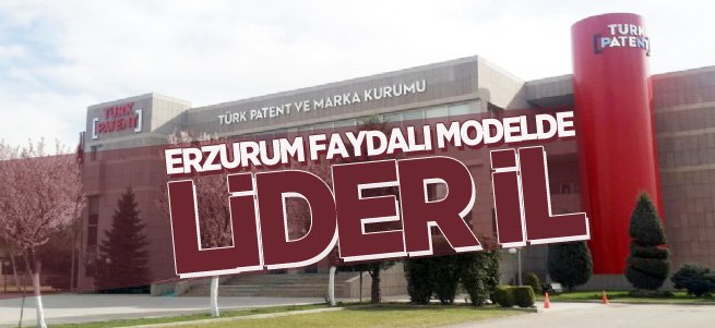 Erzurum Faydalı Modelde Lider İl