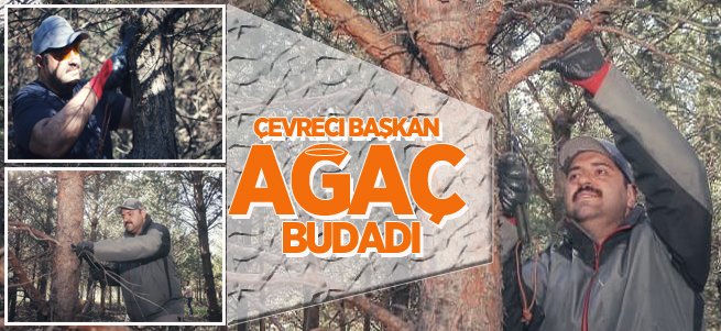 Çevreci Başkan Muhammet Cevdet Orhan ağaç budadı