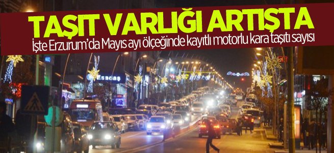 Erzurum taşıt varlığı artışta 