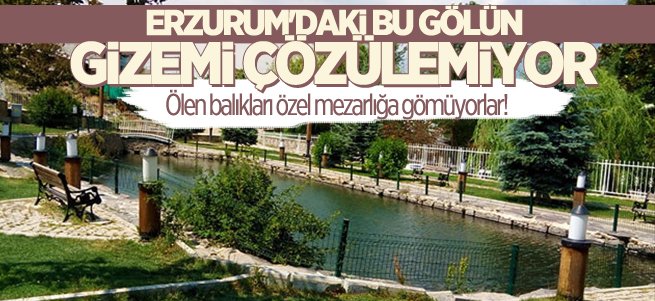 Erzurum'daki bu gölün gizemi çözülemiyor!