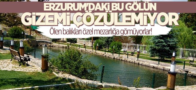 Erzurum'da ki bu gölün gizemi çözülemiyor!