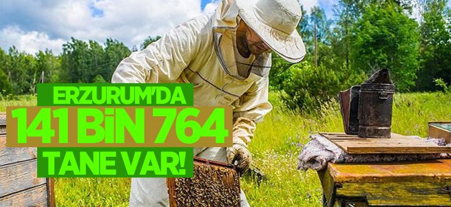 Erzurum'da 141 bin 764 arı kolonisi var!