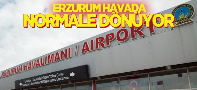 İşte beyinle ilgili doğru bilinen yanlışlar