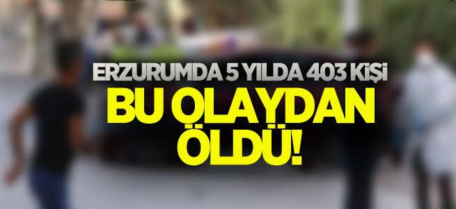 Erzurumda 5 yılda 403 kişi bu olaydan öldü!
