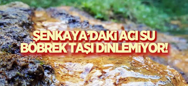 Şenkaya’daki acı su böbrek taşı dinlemiyor!