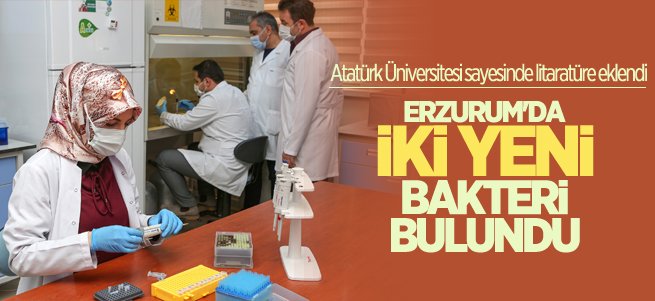 Erzurum’da yeni bakteri cinsi ve türü keşfedildi