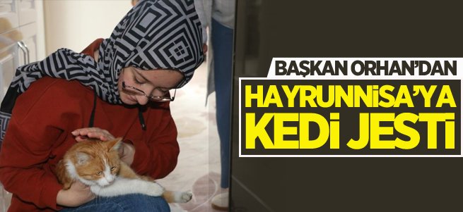 Başkan Orhan’dan Hayrunnisa’ya kedi sürprizi