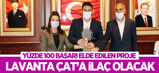 35 besiciye 231 adet damızlık koç dağıtıldı