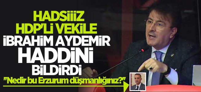 HDP'li hadsiz vekile İbrahim Aydemir haddini bildirdi