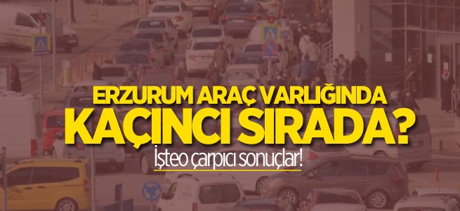 Erzurum araç varlığında kaçıncı sırada?