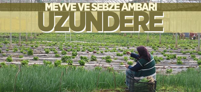 Meyve ve sebze ambarı Uzundere