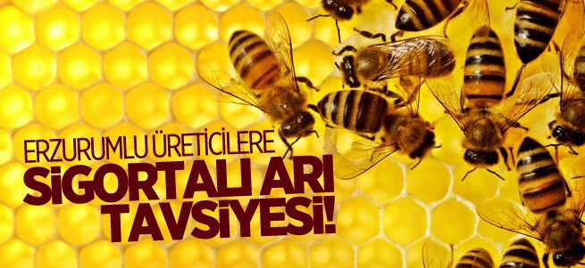 Arılarınızı sigortalattırarak güvende olun!