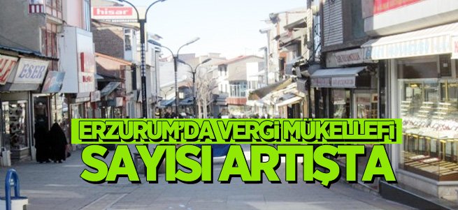 Erzurum’da vergi mükellefi sayısı artışta