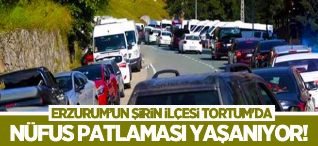 Tortum'da nüfus patlaması yaşanıyor!
