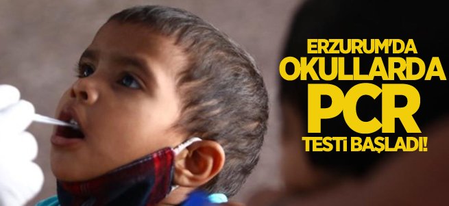 Erzurum’da okullarda PCR testi dönemi başladı!