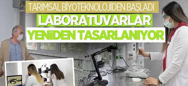 Tarımsal biyoteknoloji laboratuvarları yeniden tasarlandı