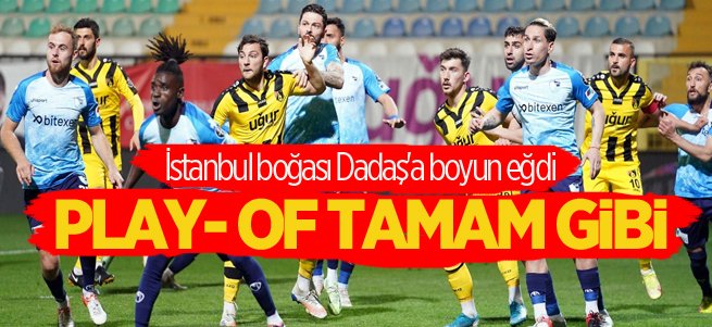 İstanbul boğası Dadaş'a boyun eğdi