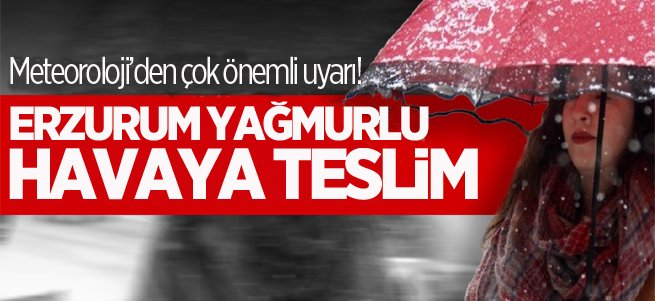 Erzurum’da aşırı yağışlı hava etkili