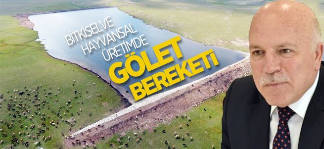 Bitkisel ve hayvansal üretimde gölet bereketi