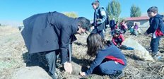 Oral öğrencilerle patates hasadına katıldı