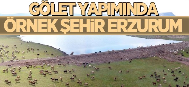 Erzurum, gölet yapımında örnek şehir... 